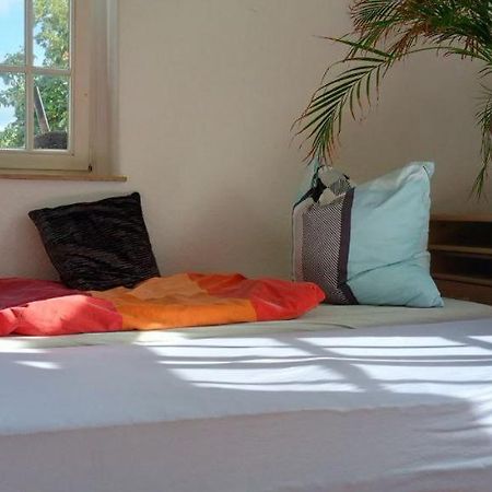 Forrest Apartments In Freiberg Min Stay 2 Nights Max Number Of Guest 1 Aprt 1 Exterior photo