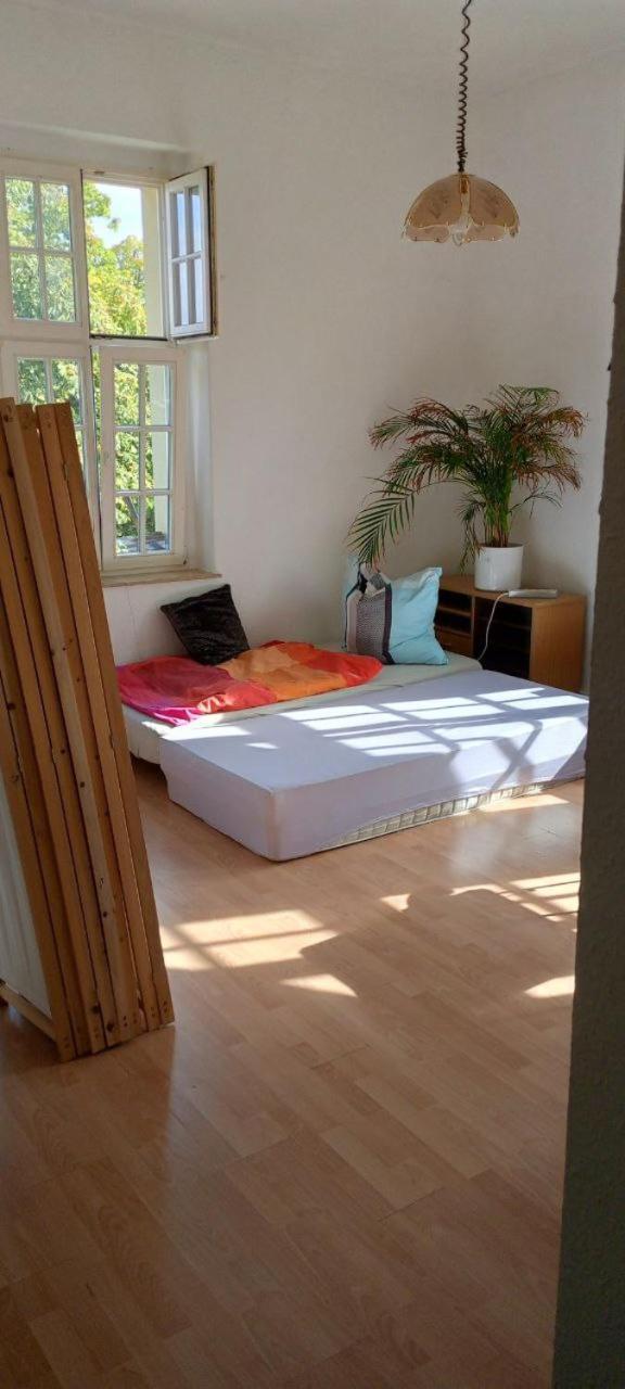 Forrest Apartments In Freiberg Min Stay 2 Nights Max Number Of Guest 1 Aprt 1 Exterior photo