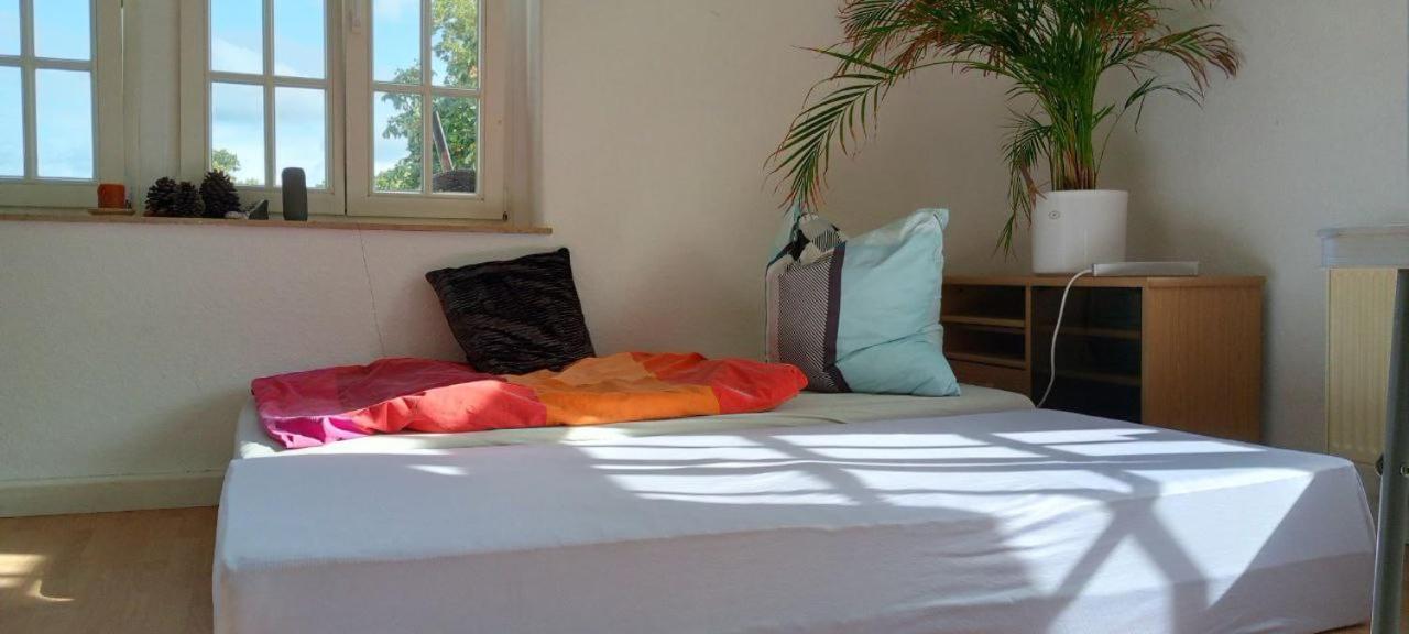 Forrest Apartments In Freiberg Min Stay 2 Nights Max Number Of Guest 1 Aprt 1 Exterior photo